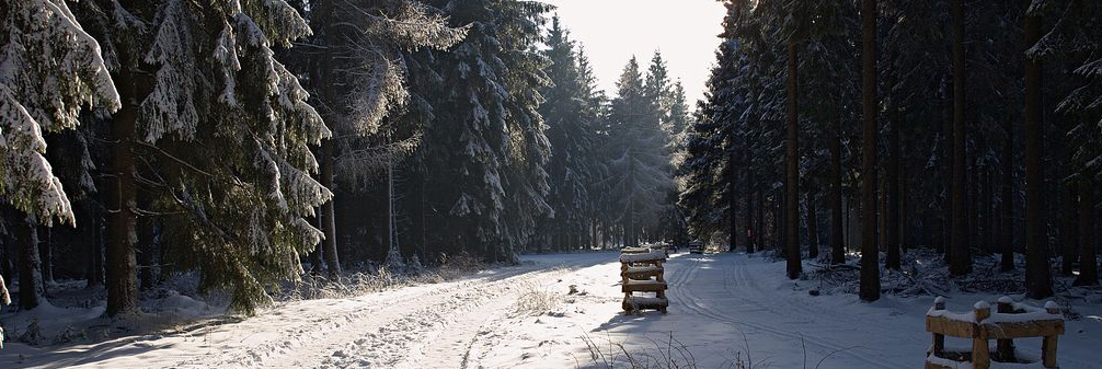 Naturpark Ebbegebirge 4